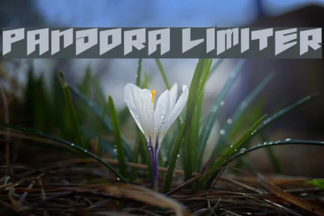 pandora limiter Example 2