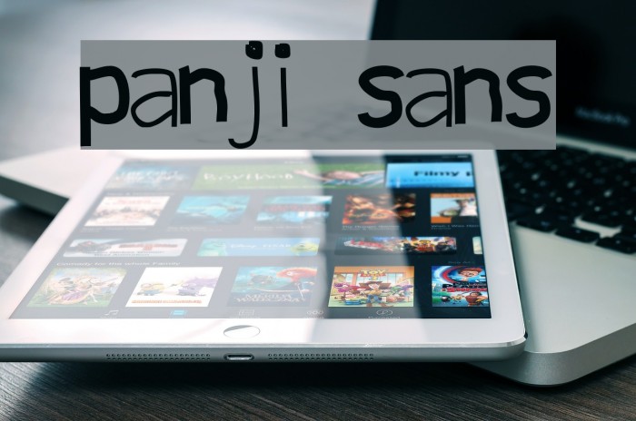 panji sans Example 1