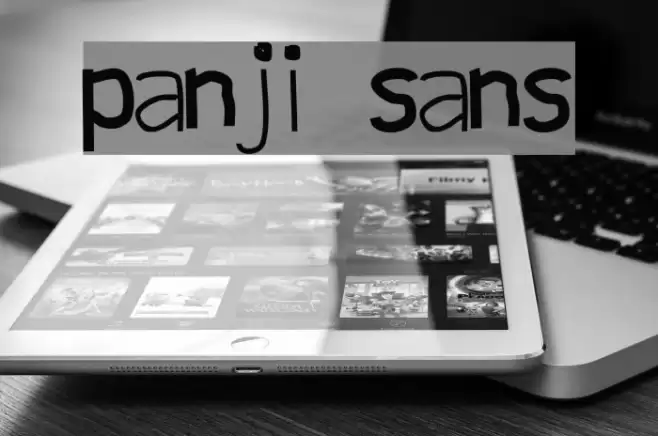 panji sans Font examples