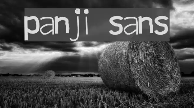 panji sans Font examples