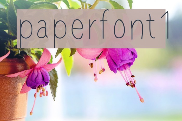paperfont1 Font examples