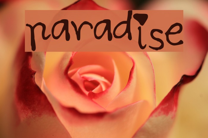 paradise Font examples