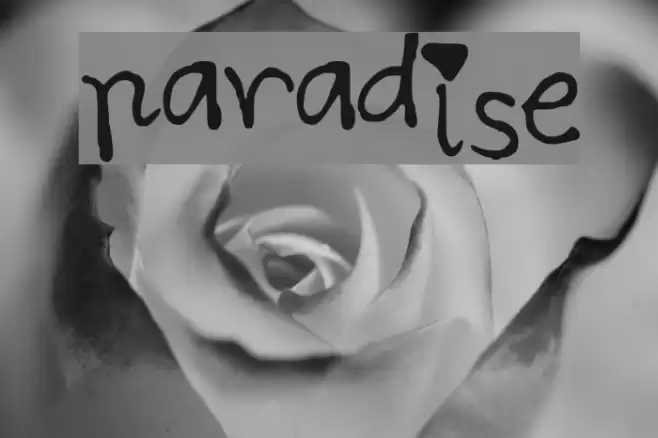 paradise Caratteri examples