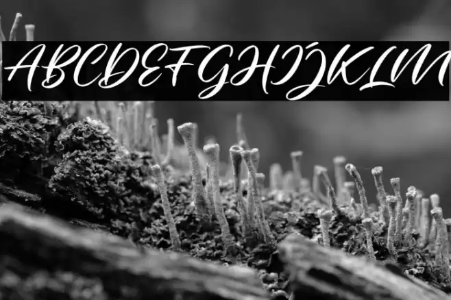 parahyang Font examples