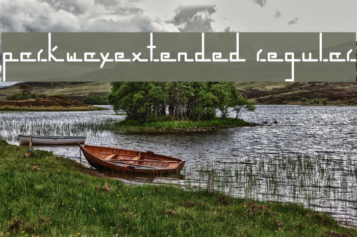 parkwayextended Regular Font examples
