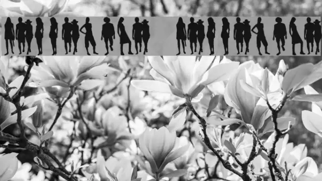 passarela passarela Font examples