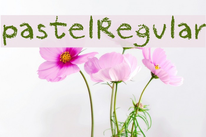 pastelRegular Шрифта examples