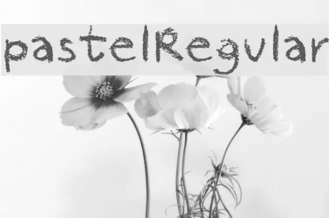 pastelRegular Шрифта examples