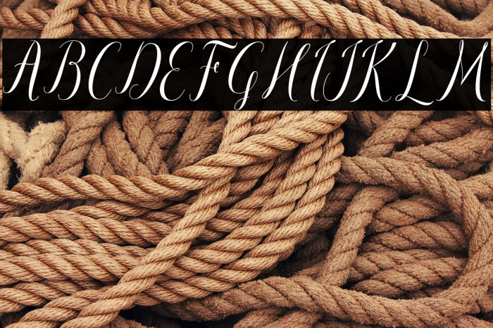 paulinescript Example 3