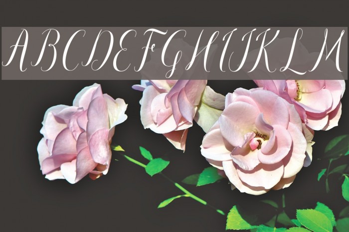 paulinescript Example 1