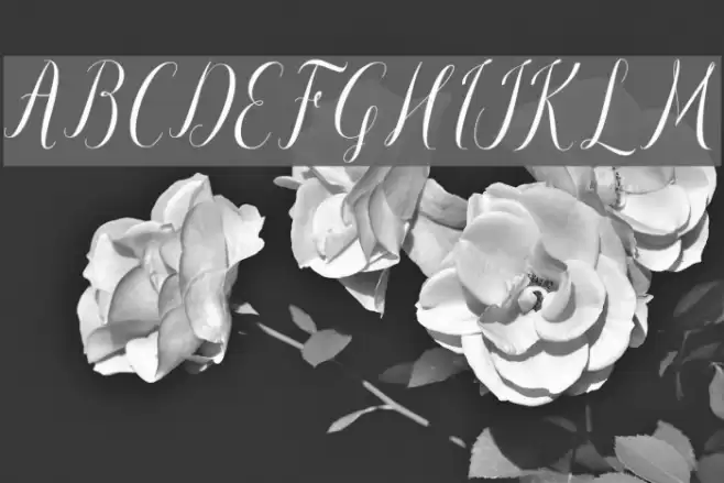 paulinescript Font examples