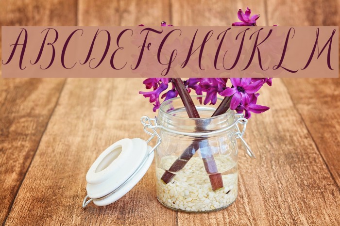 paulinescript Example 2