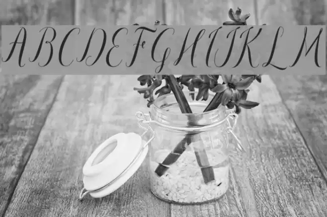 paulinescript Font examples