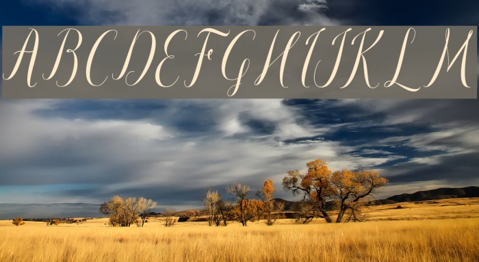 paulinescript Example 3