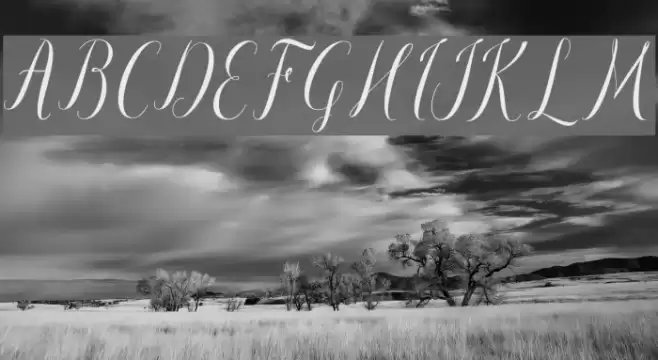 paulinescript Font examples