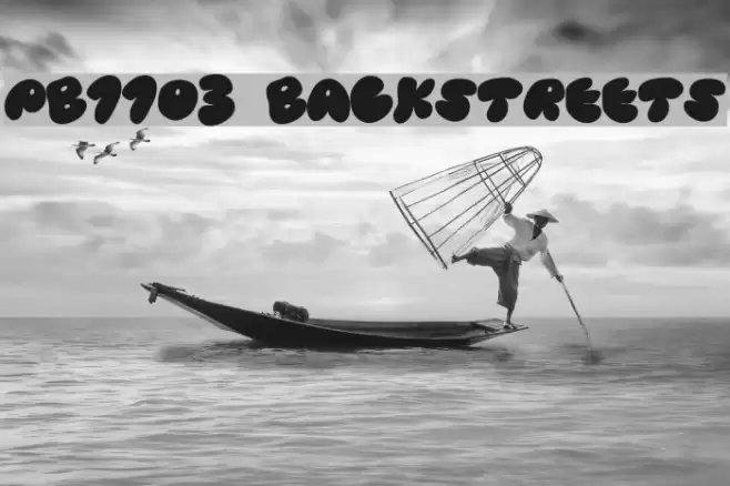 PB1103 BACKSTREETS Fuentes examples