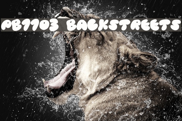 PB1103 BACKSTREETS Font examples
