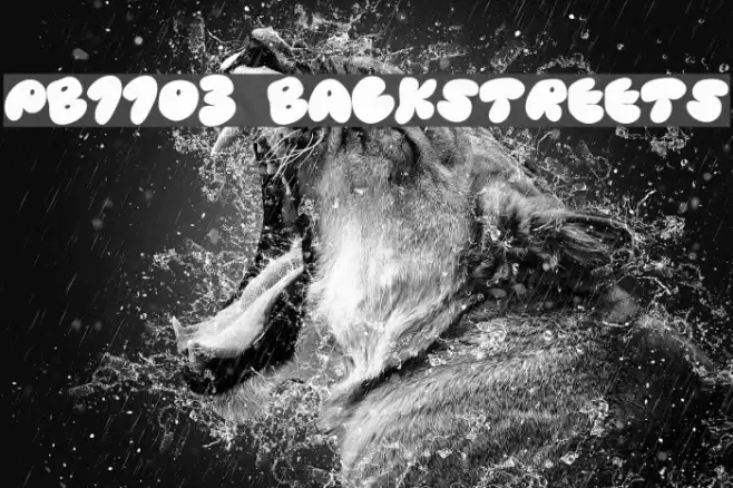 PB1103 BACKSTREETS Fuentes examples