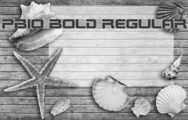 PBIO Bold Regular Font examples