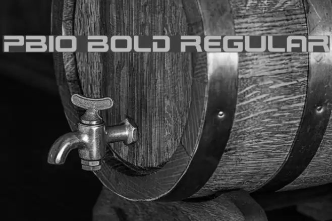 PBIO Bold Regular Font examples
