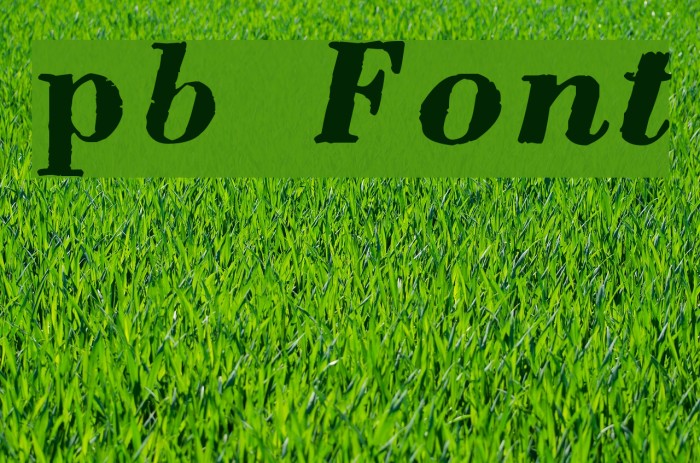 pb Font examples