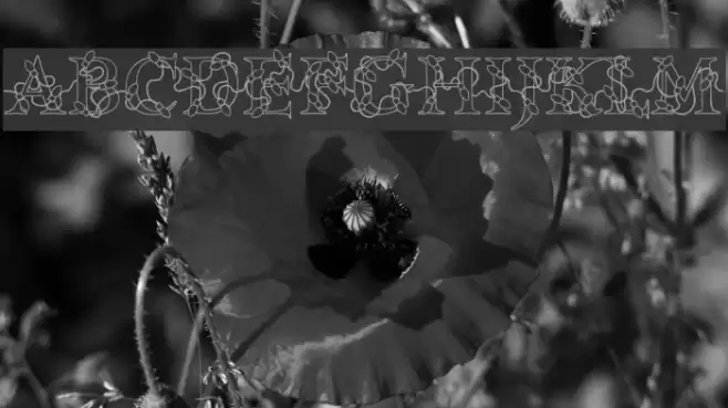 PC Lights Schriftart examples