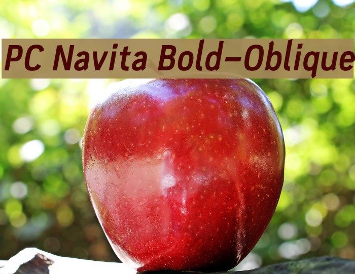 PC Navita Bold-Oblique Font examples