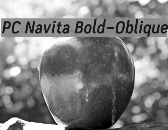 PC Navita Bold-Oblique Font examples