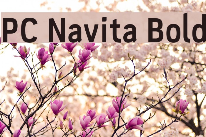 PC Navita Bold Example 1