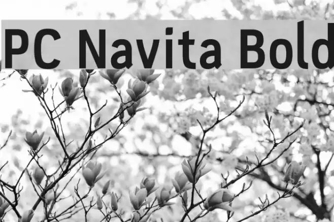 PC Navita Bold Font examples