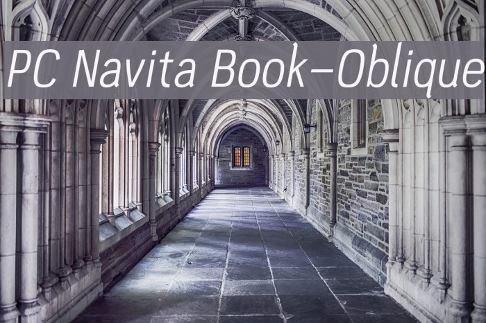 PC Navita Book-Oblique Font examples