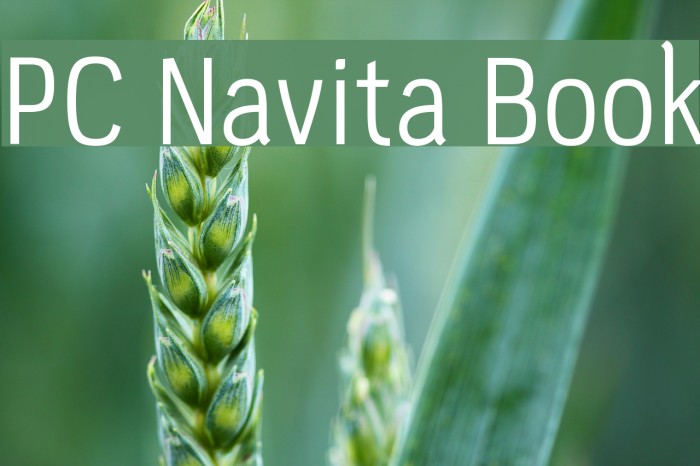 PC Navita Book Font examples