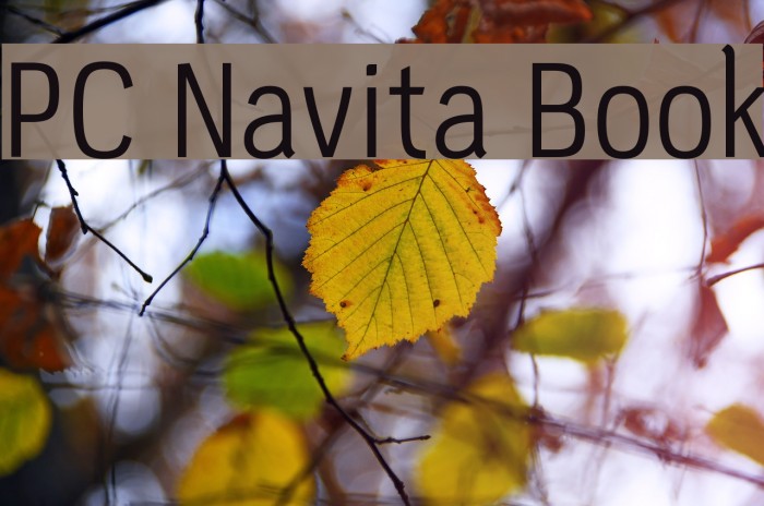 PC Navita Book Font examples
