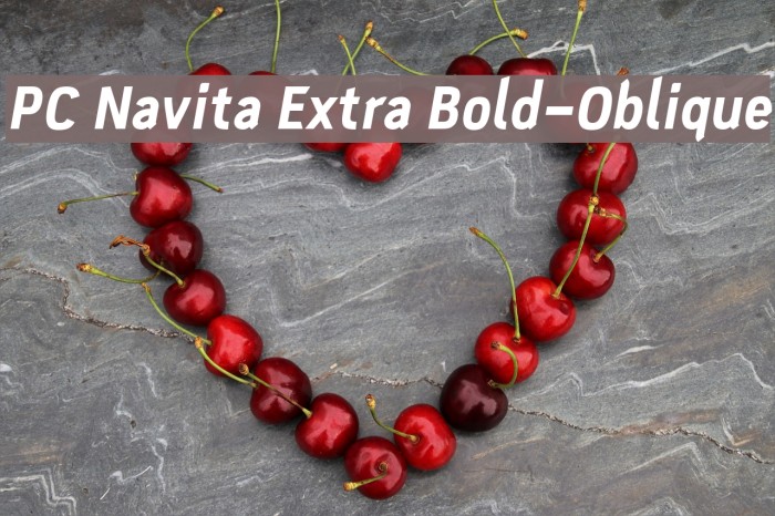 PC Navita Extra Bold-Oblique Font examples
