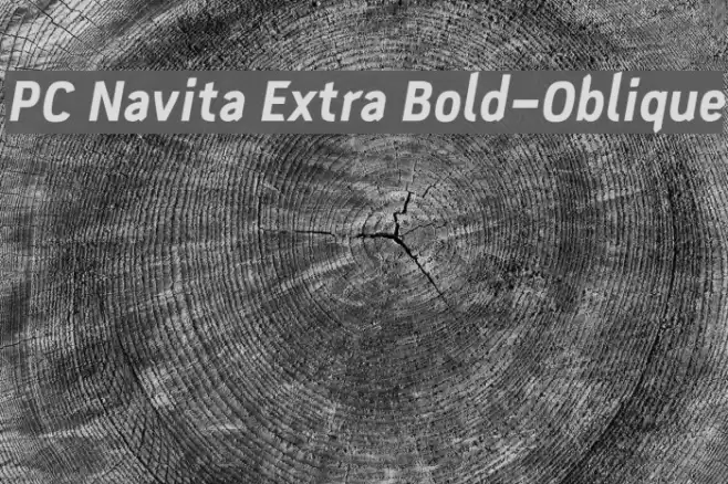 PC Navita Extra Bold-Oblique Font examples