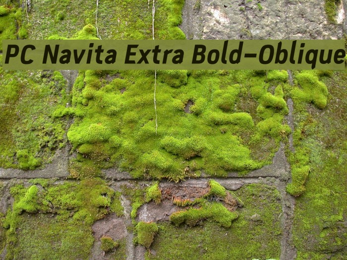 PC Navita Extra Bold-Oblique Font examples
