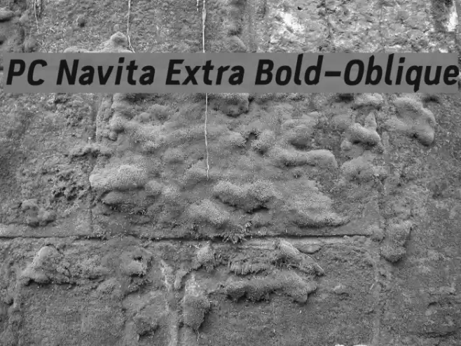 PC Navita Extra Bold-Oblique Font examples