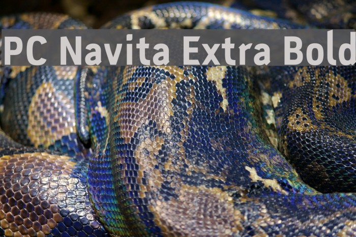PC Navita Extra Bold Font examples