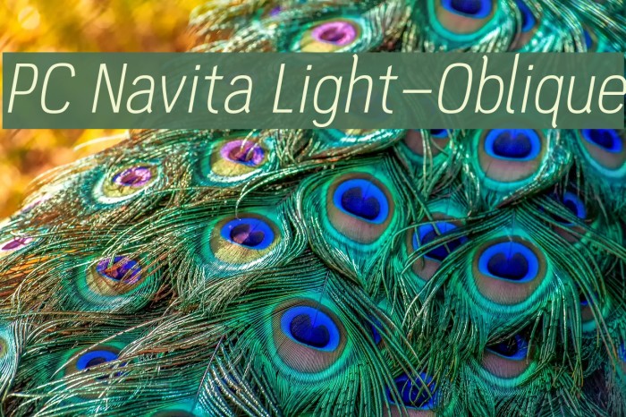 PC Navita Light-Oblique Font examples