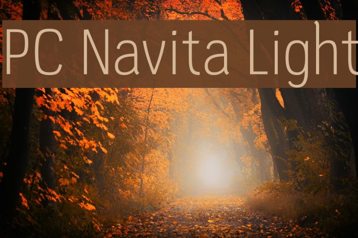 PC Navita Light Font examples