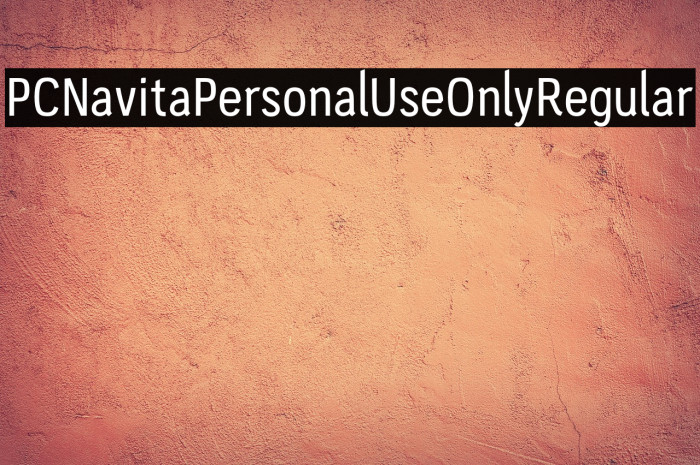 PC-Navita-Personal-Use-Only-Regular Example 3