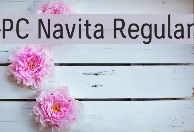 PC Navita Regular Example 1