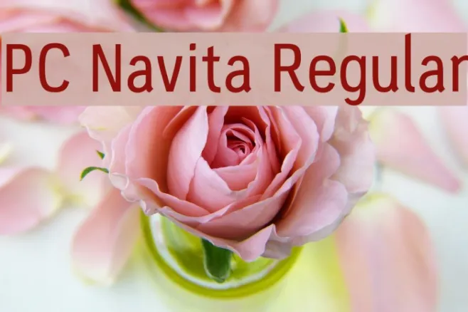 PC Navita Regular Example 2
