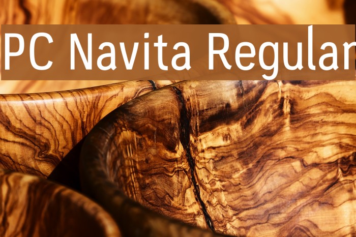 PC Navita Regular Font examples
