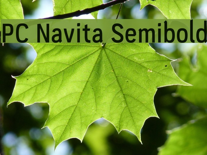 PC Navita Semibold Font examples