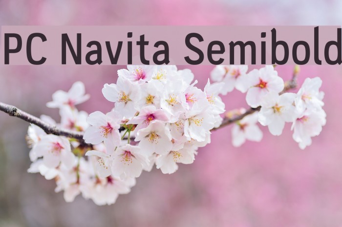 PC Navita Semibold Font examples