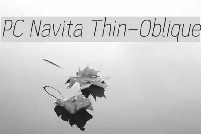 PC Navita Thin-Oblique Font examples