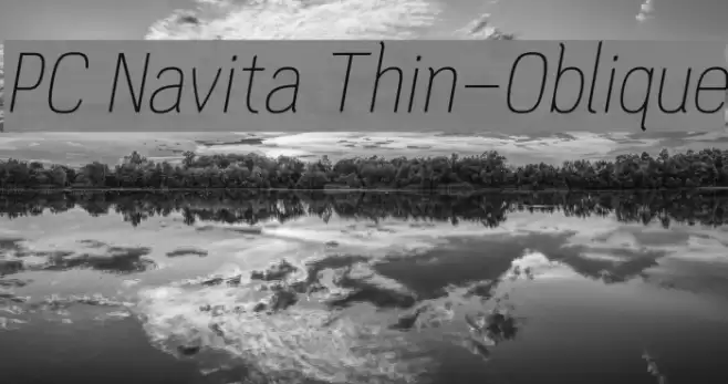 PC Navita Thin-Oblique Font examples