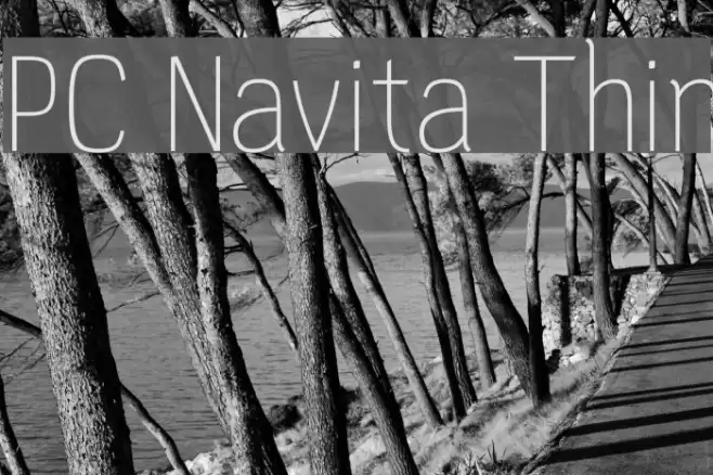 PC Navita Thin Font examples