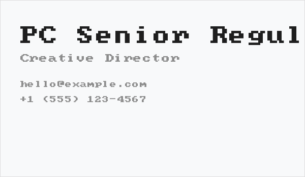 PC Senior Regular Business Card
